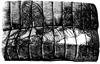 Z cyklu: Freski